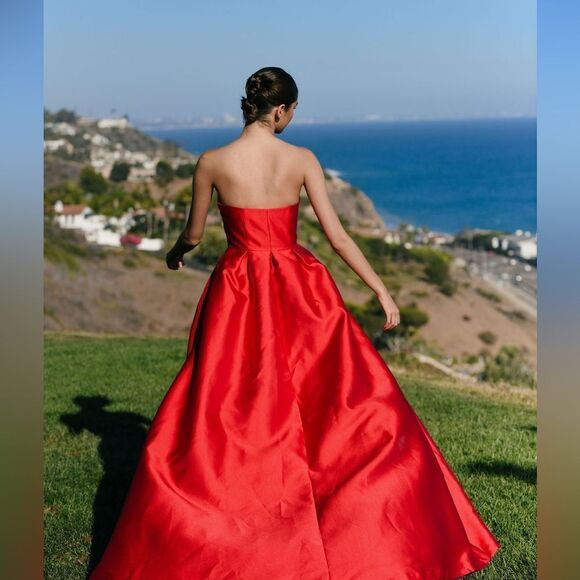 New Anthropologie Hutch Strapless High-Low Bubble Dress/ size 4P - Picture 13 of 14